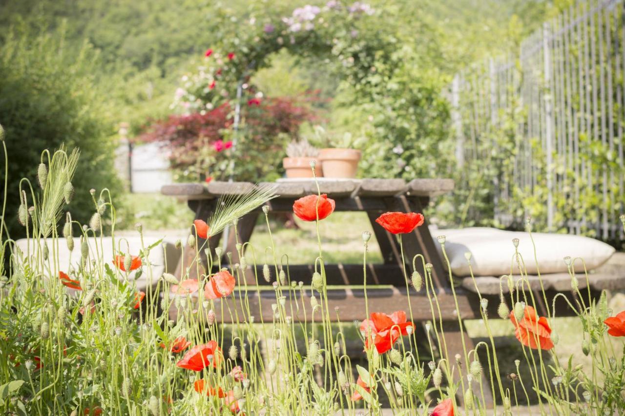 Villa Porcigliano Olive Grove Polcanto Екстериор снимка