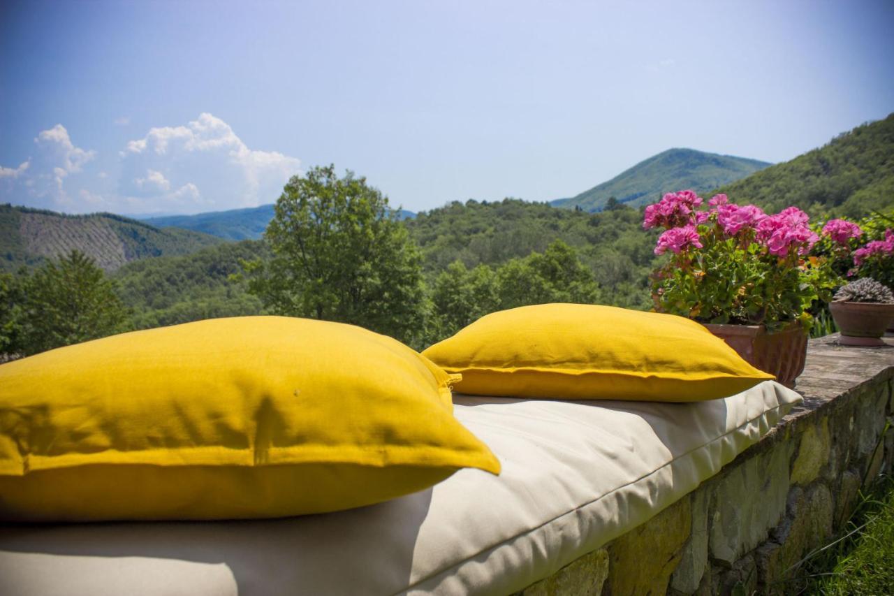 Villa Porcigliano Olive Grove Polcanto Екстериор снимка