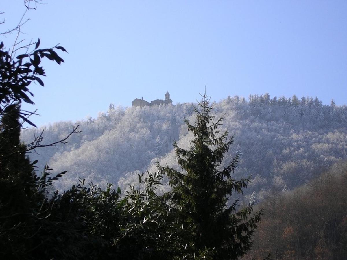 Villa Porcigliano Olive Grove Polcanto Екстериор снимка