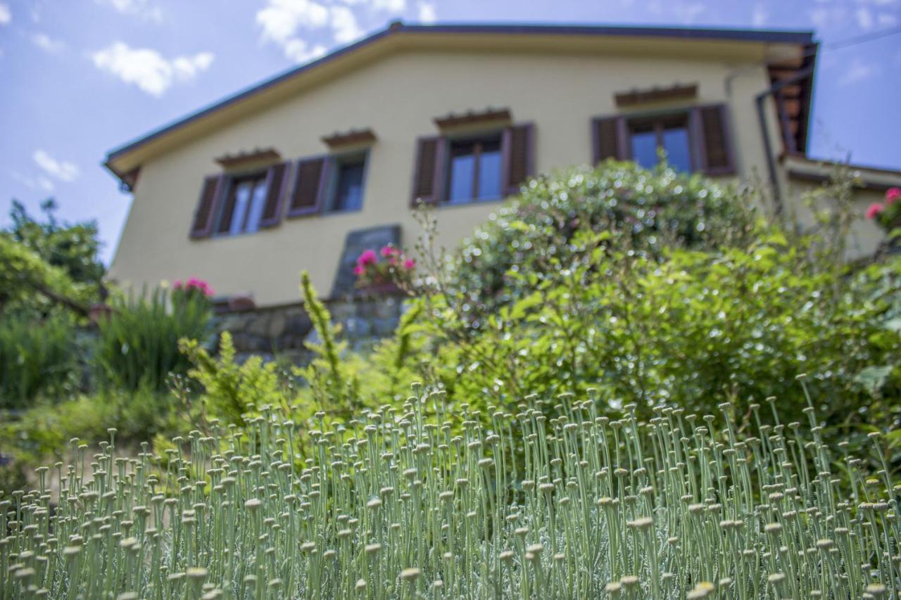 Villa Porcigliano Olive Grove Polcanto Екстериор снимка