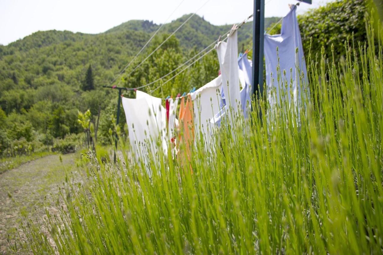 Villa Porcigliano Olive Grove Polcanto Екстериор снимка