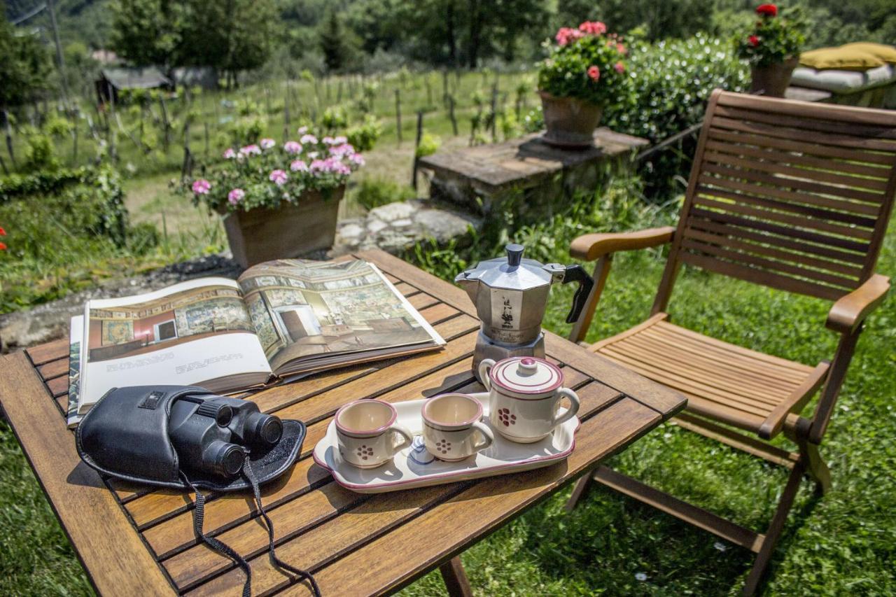 Villa Porcigliano Olive Grove Polcanto Екстериор снимка