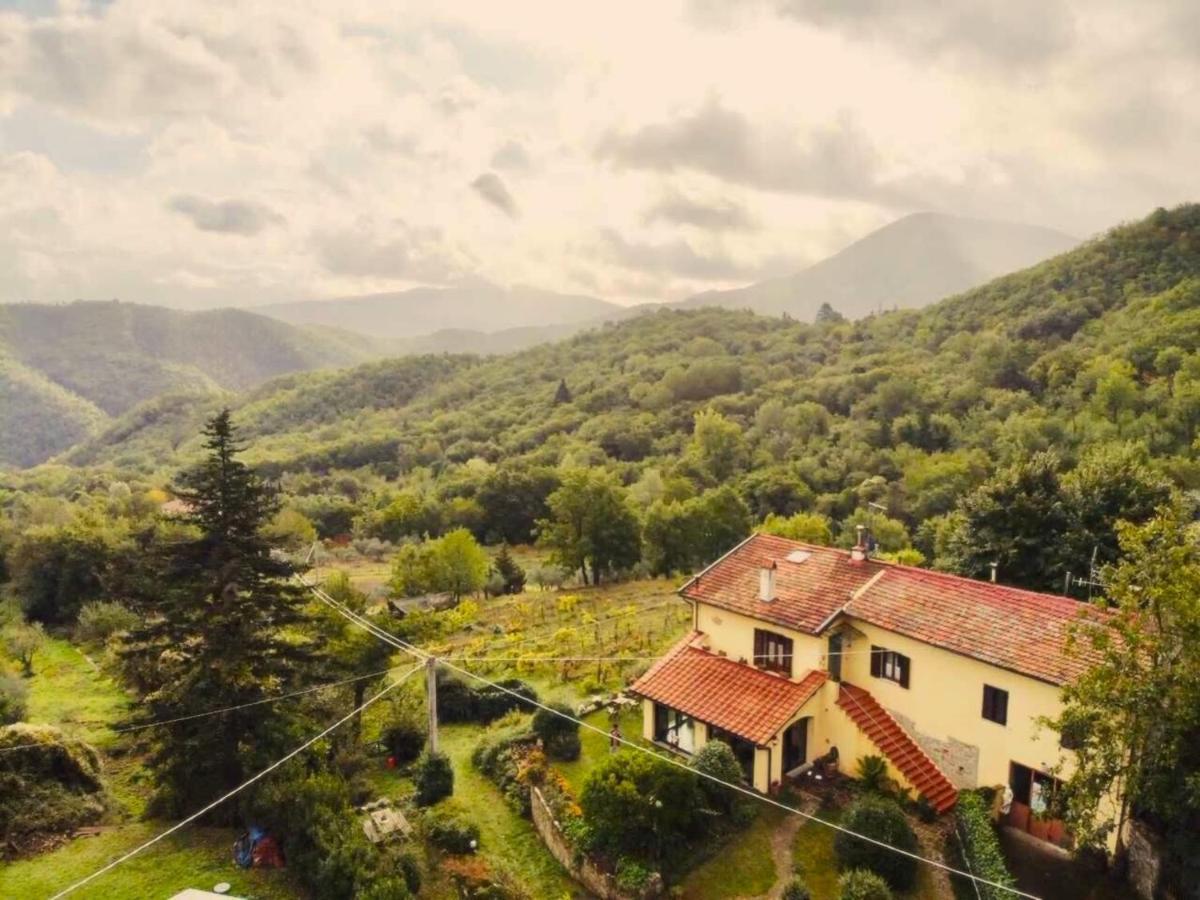 Villa Porcigliano Olive Grove Polcanto Екстериор снимка