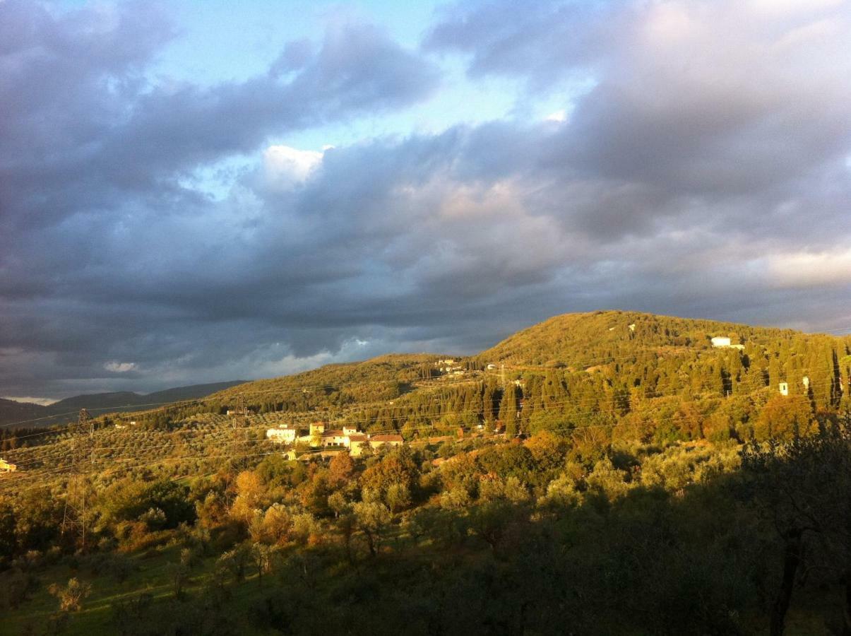 Villa Porcigliano Olive Grove Polcanto Екстериор снимка